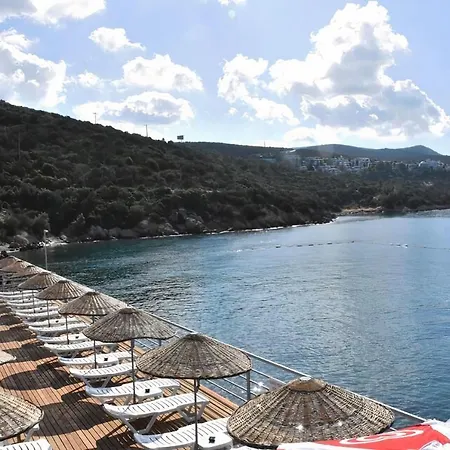 Villa Orangeus Villa *